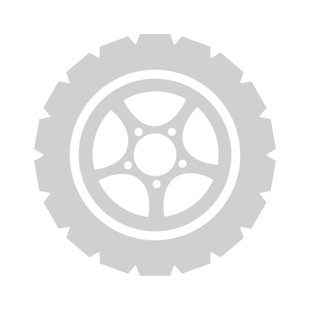 Goodyear Assurance Triplemax 205/55R16 91V