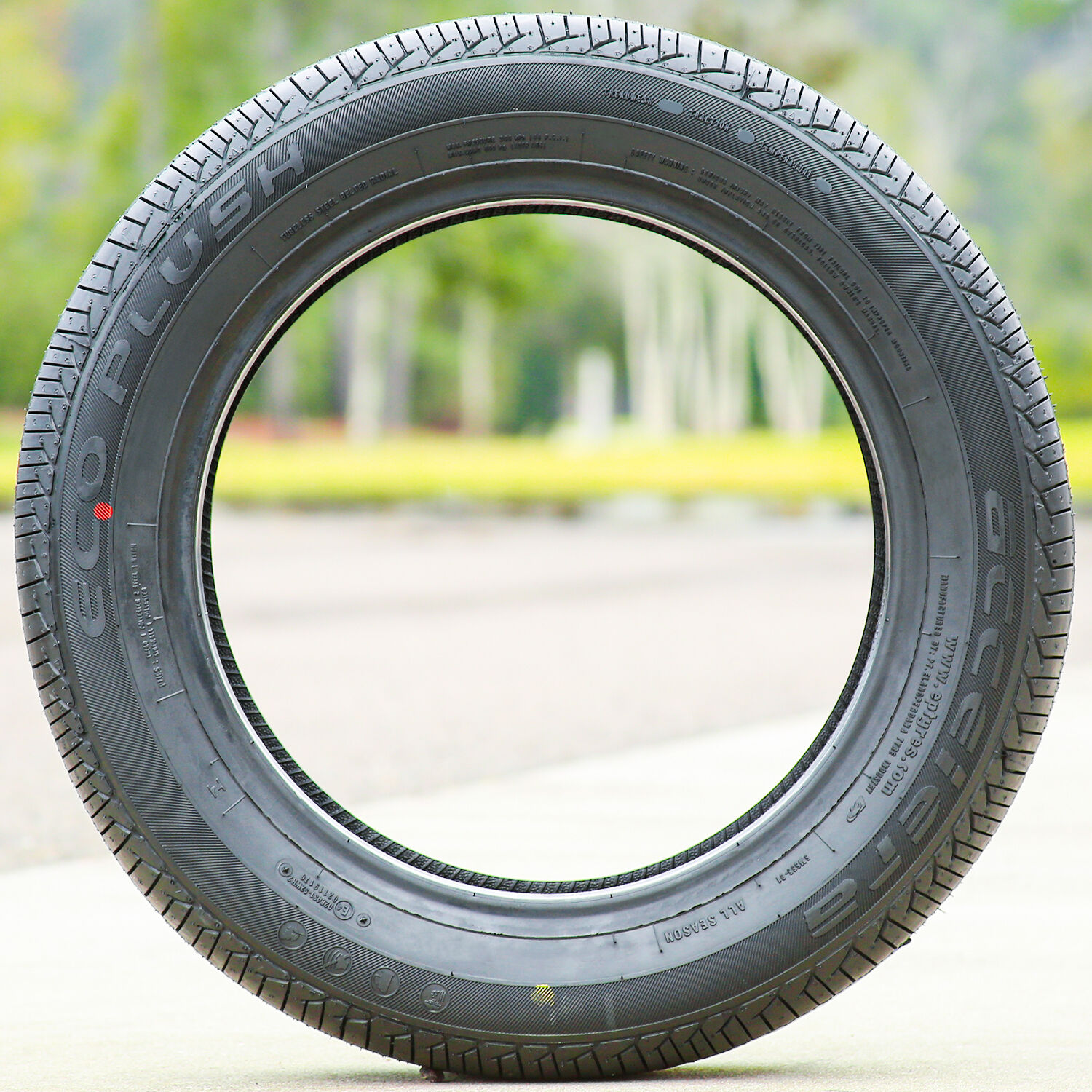 Accelera Eco Plush 215/60R16 99V XL