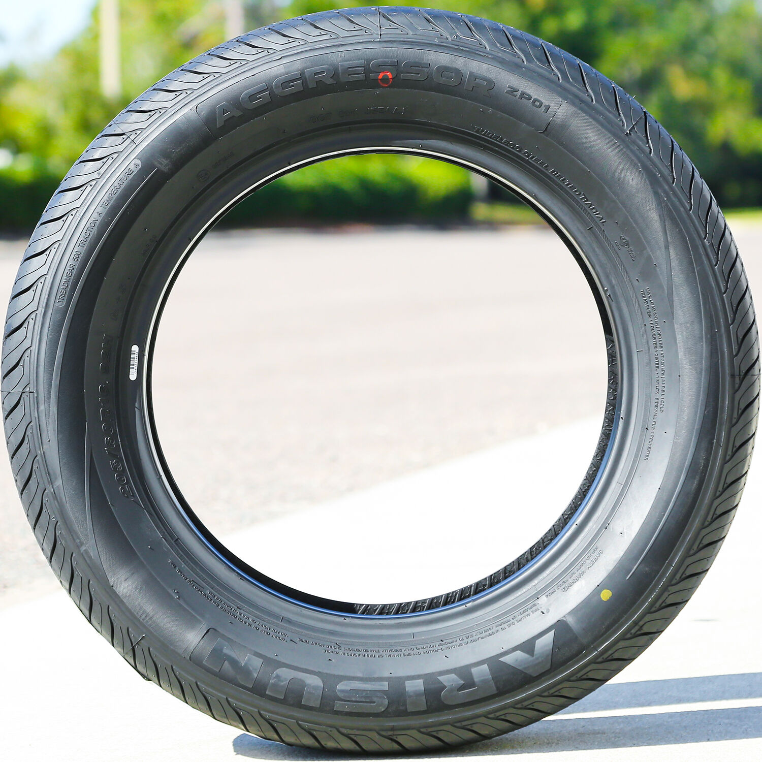 Arisun Aggressor ZP01 205/60R16 92H