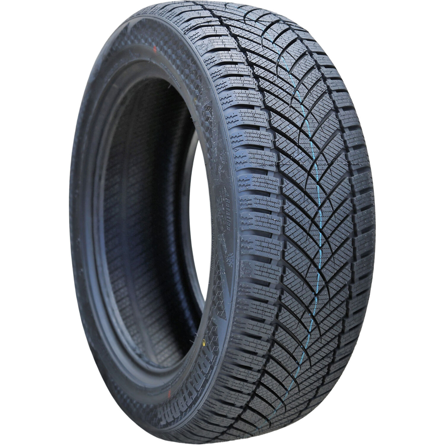 Armstrong Ski-Trac HP