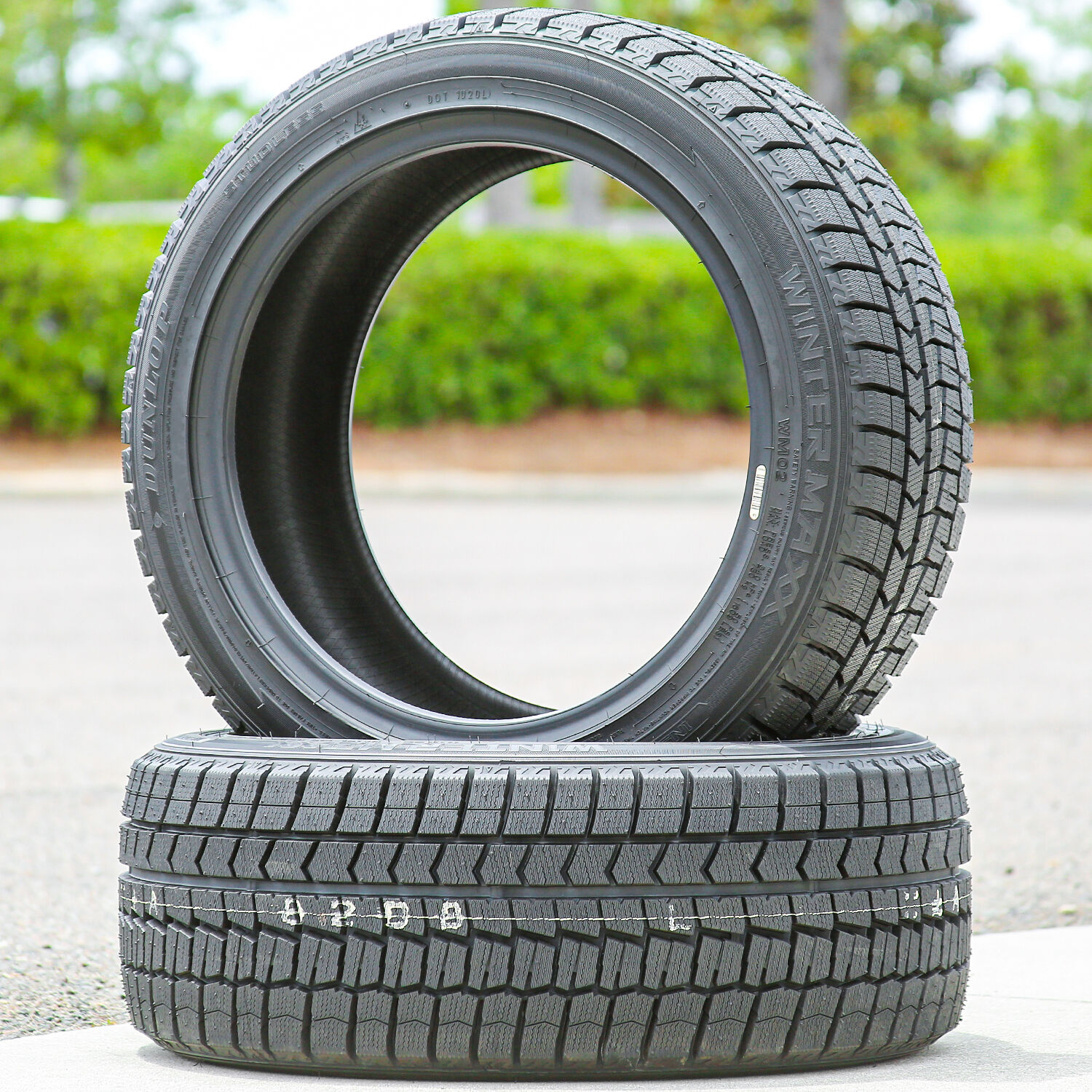 Dunlop Winter Maxx 2 215/55R16 97T XL