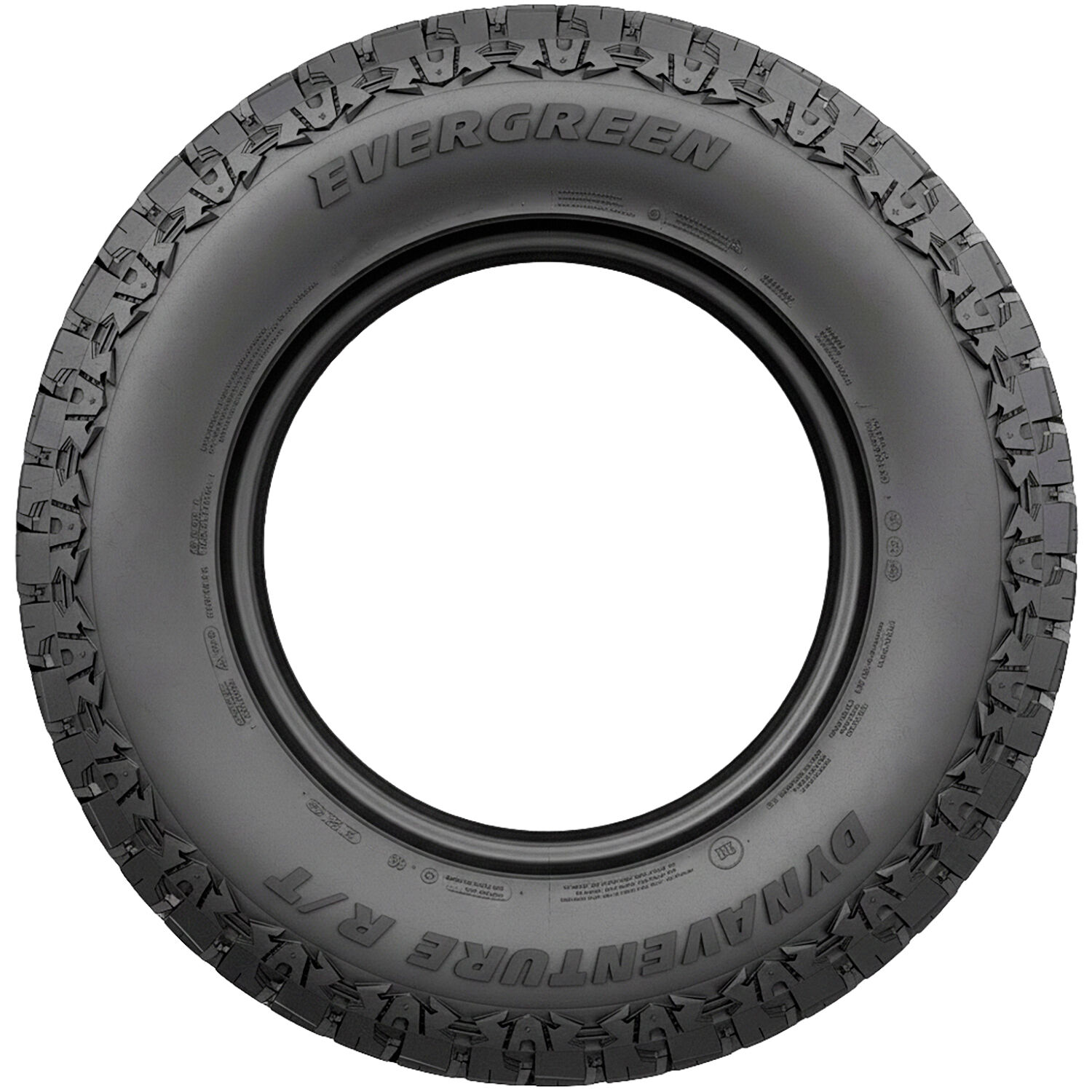 Evergreen DynaVenture R/T