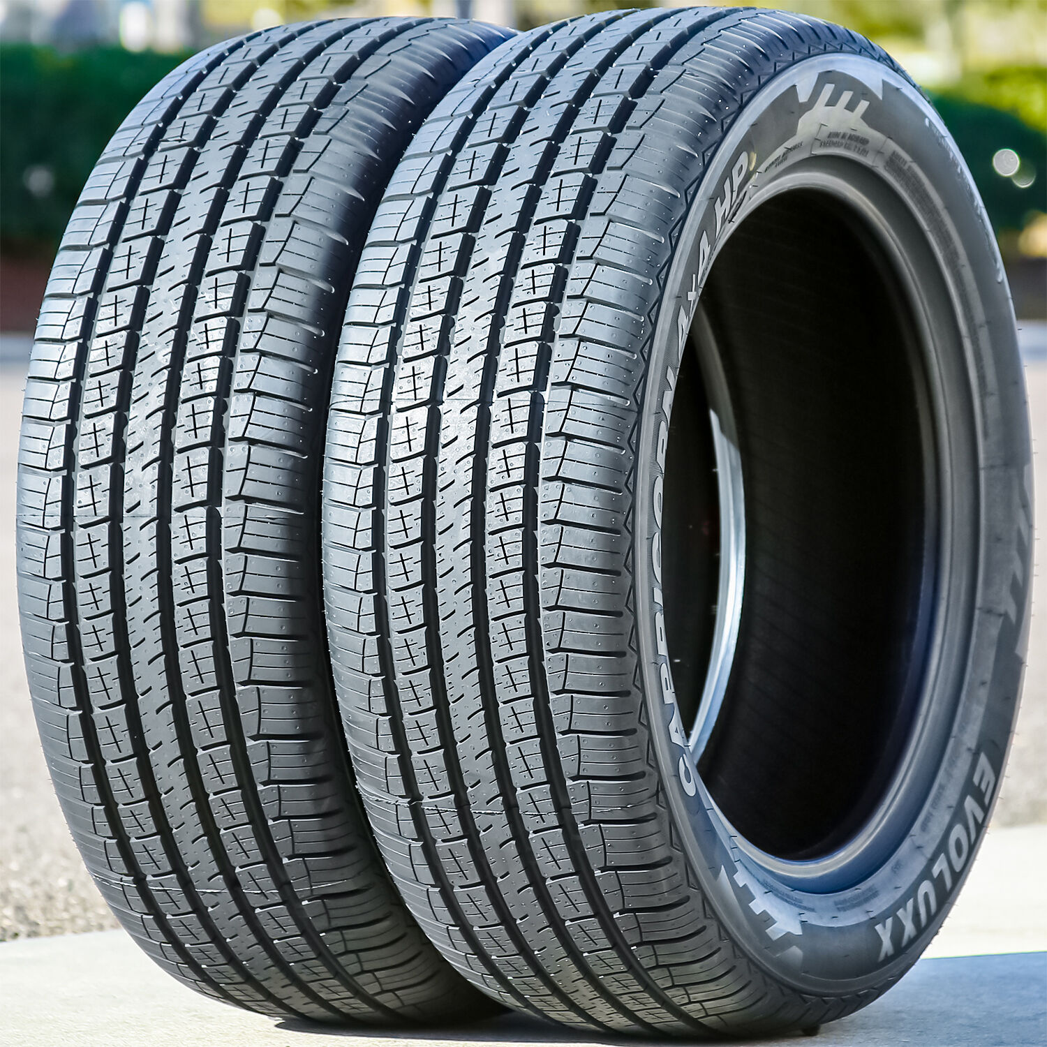 Evoluxx Capricorn 4X4 HP 255/60R17 106H