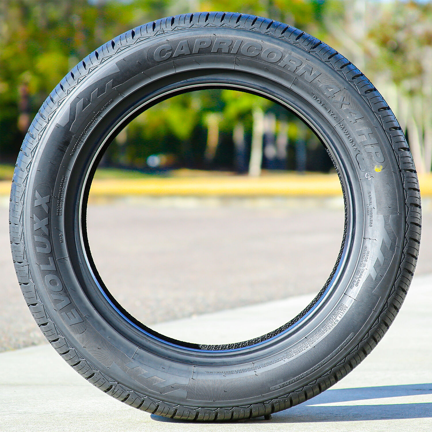 Evoluxx Capricorn 4X4 HP 255/60R17 106H