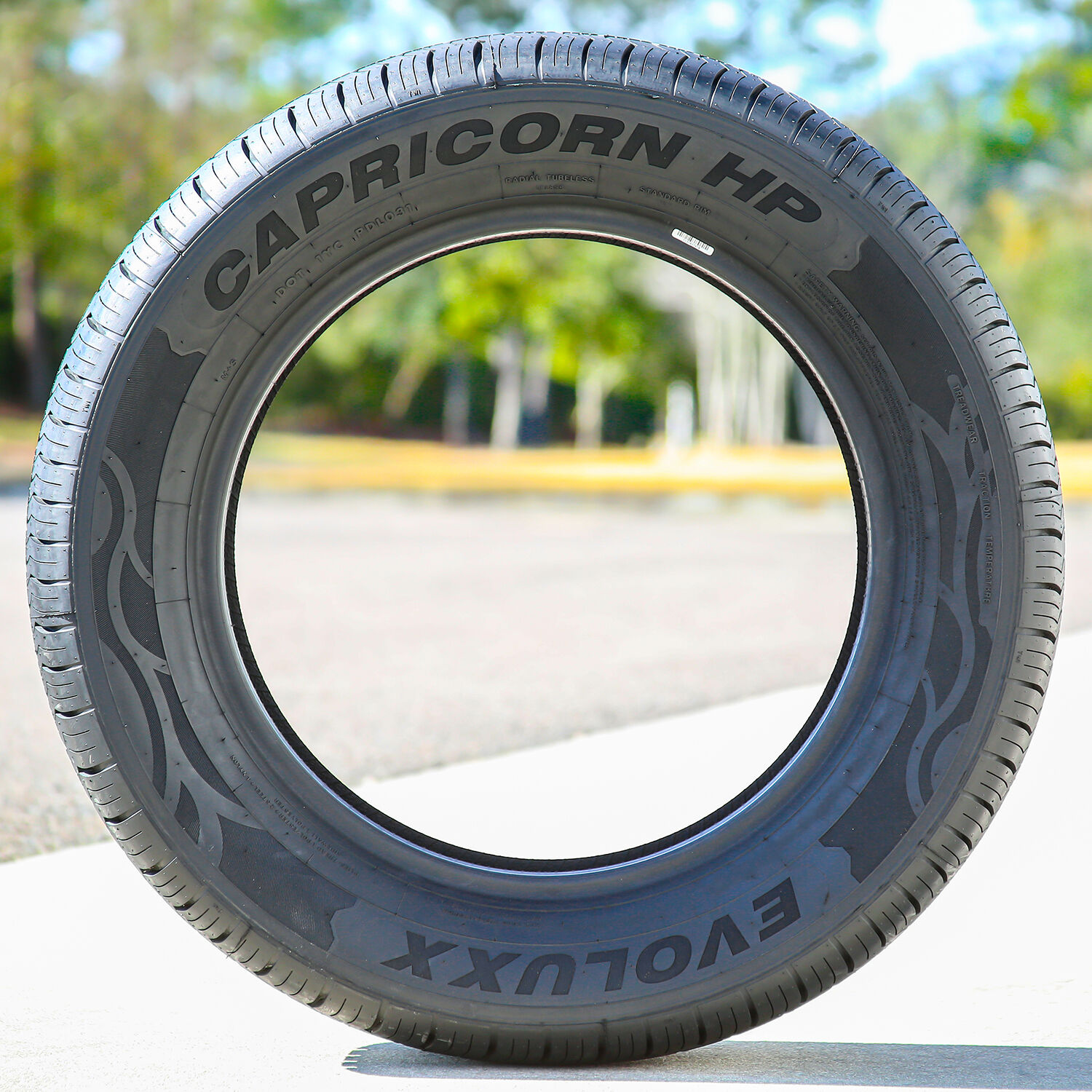 Evoluxx Capricorn HP 195/65R15 91H