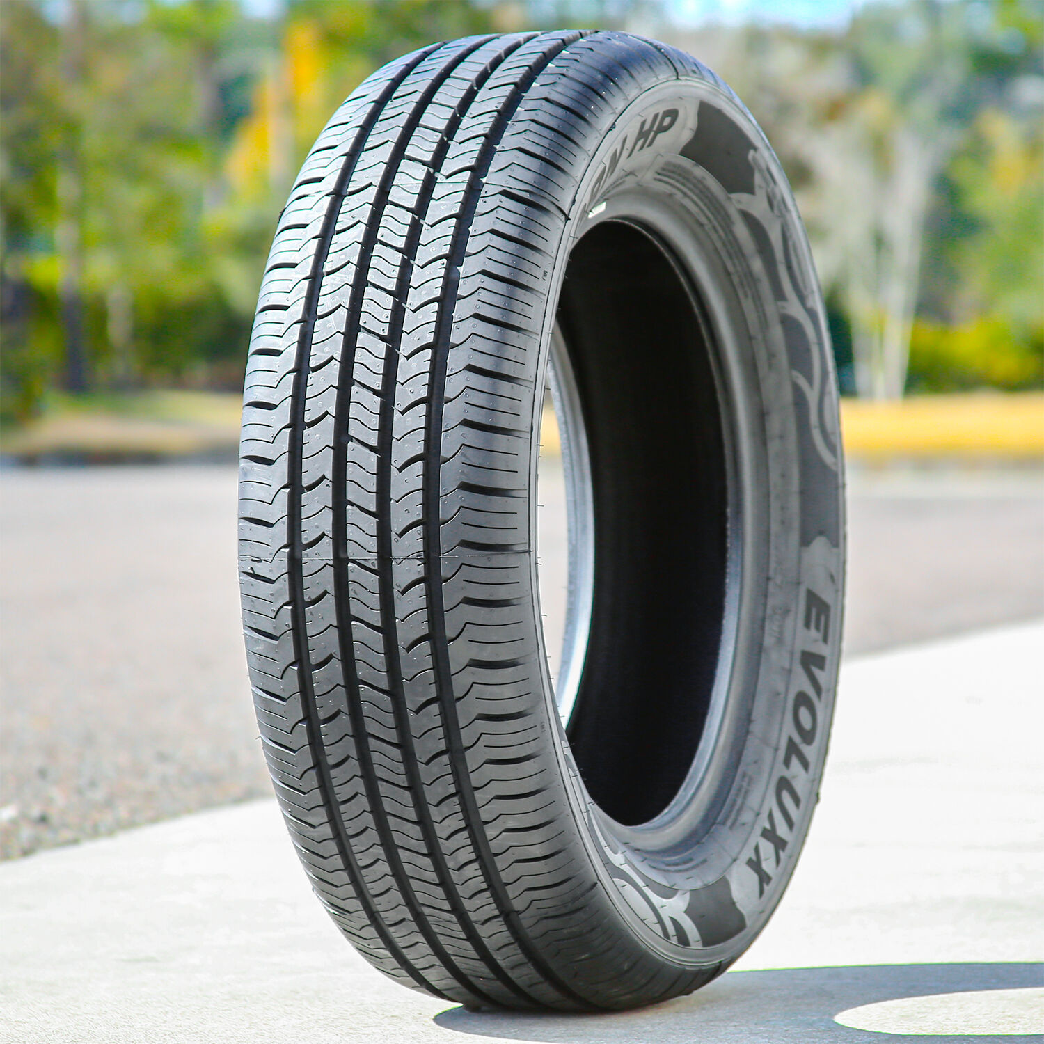 Evoluxx Capricorn HP 195/65R15 91H