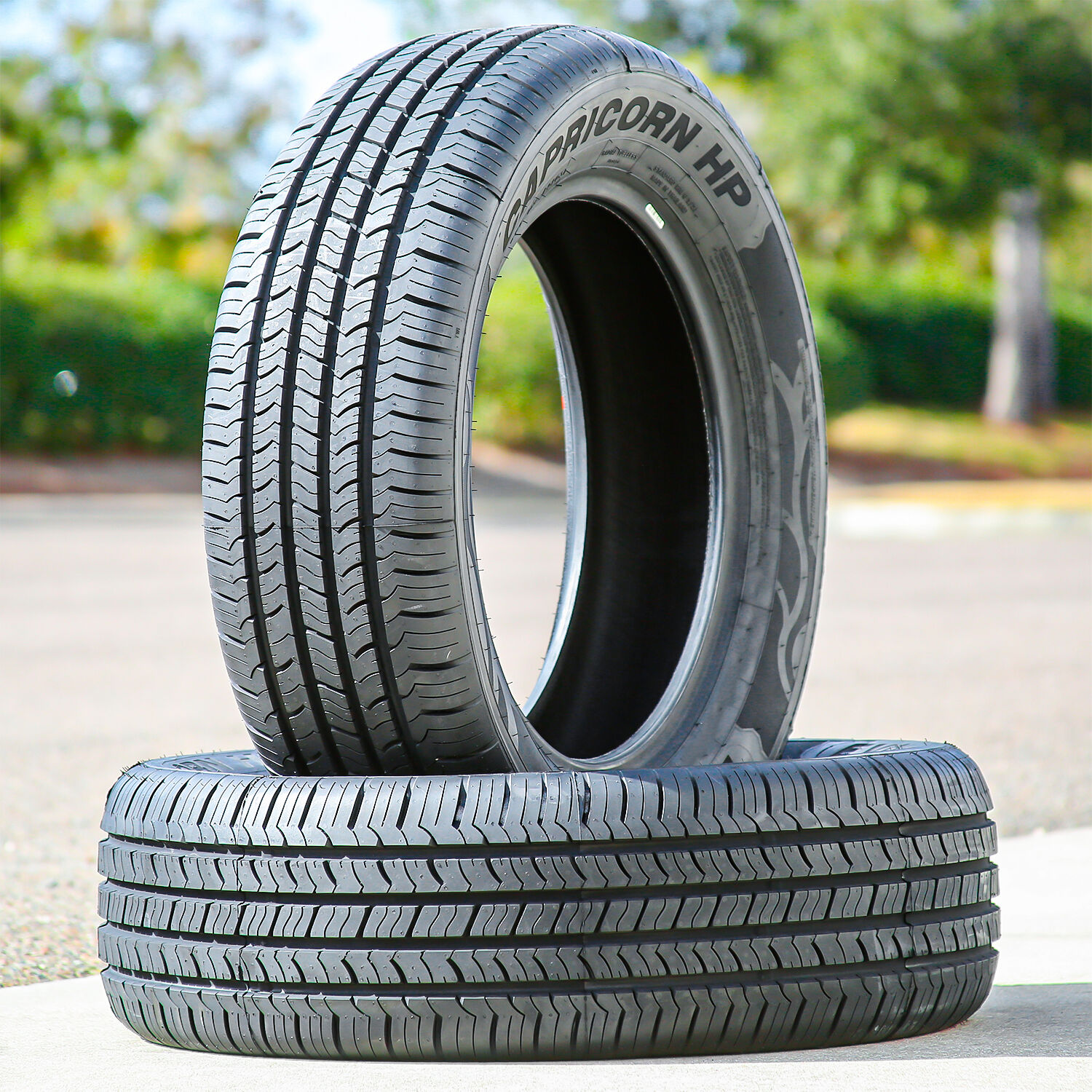 Evoluxx Capricorn HP 195/65R15 91H