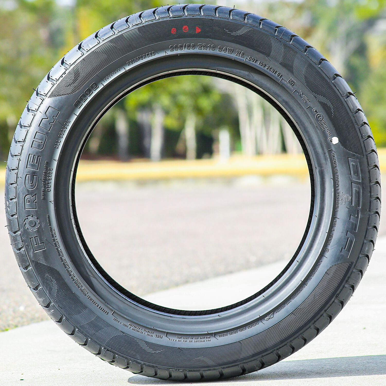 Forceum Octa 205/55R16 ZR 94W XL