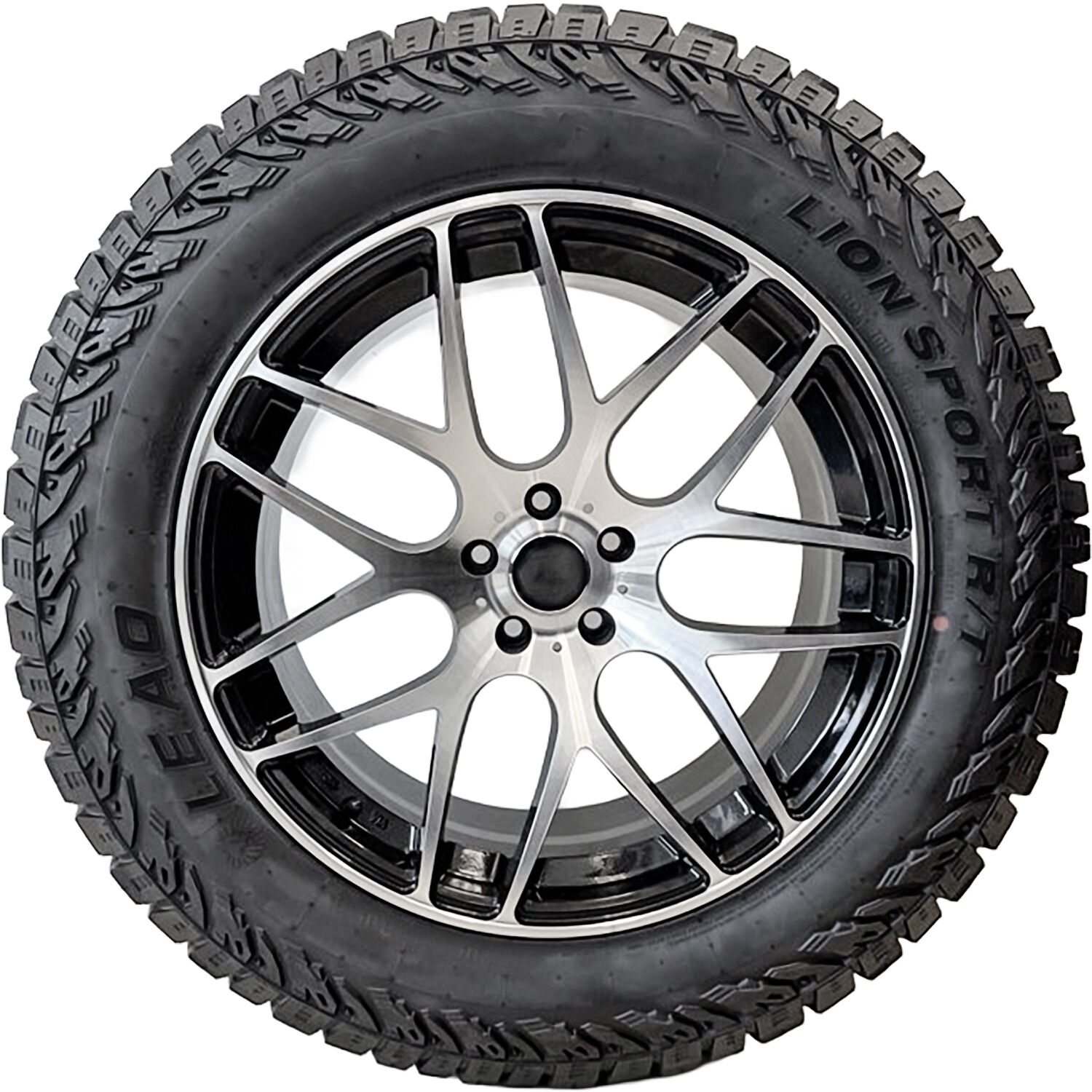 Leao Lion Climber R/T