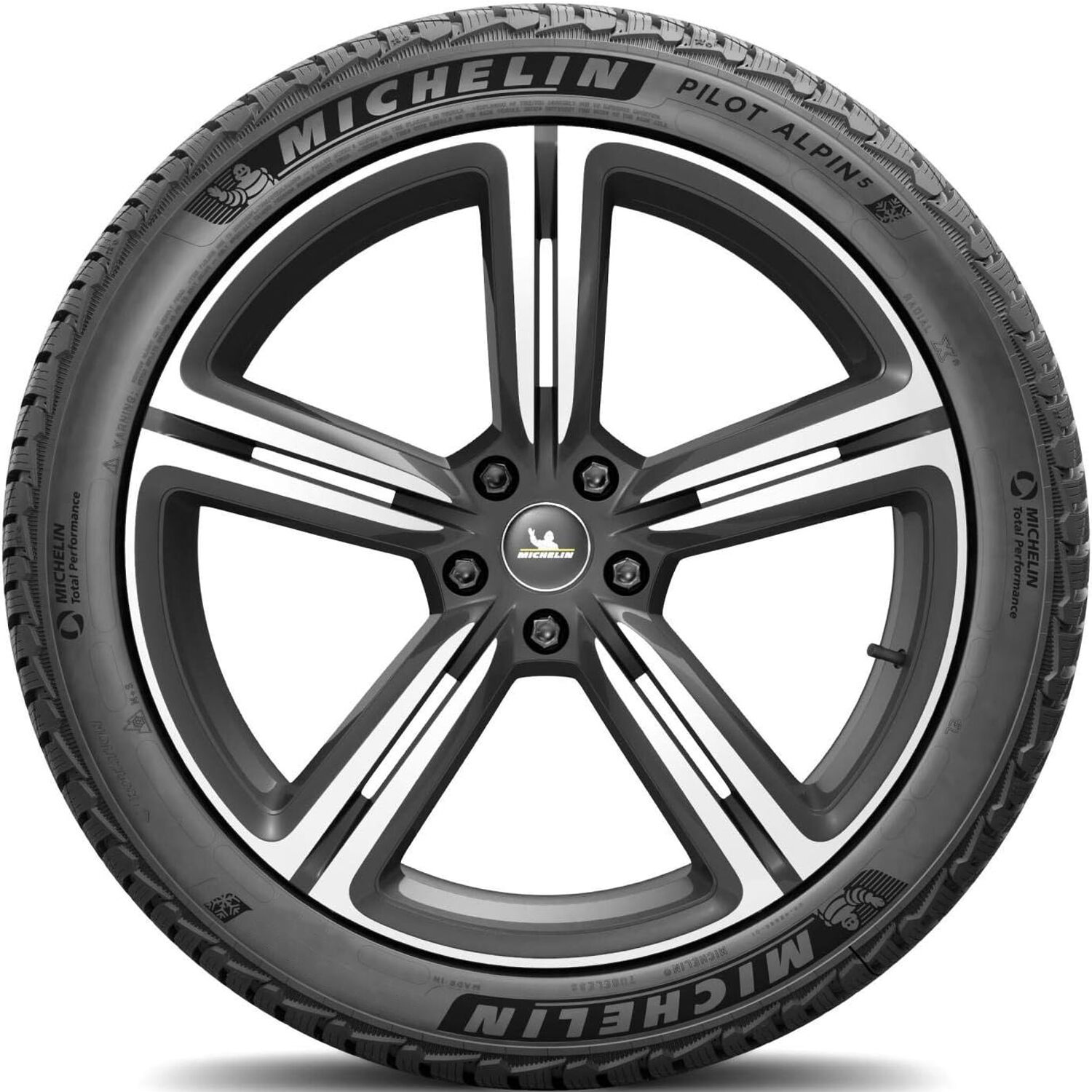 Michelin Pilot Alpin 5 PA5
