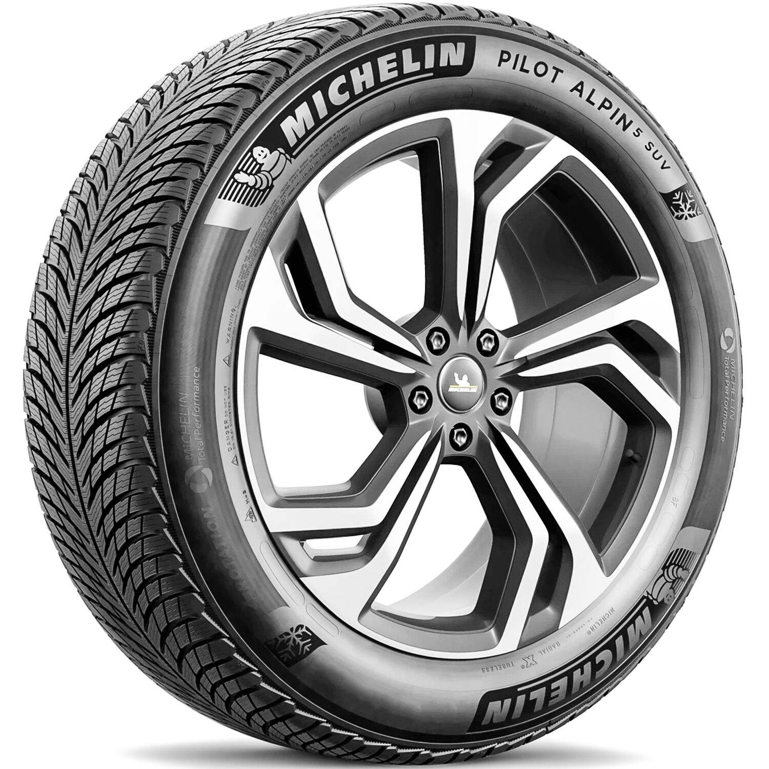 Michelin Pilot Alpin 5 SUV