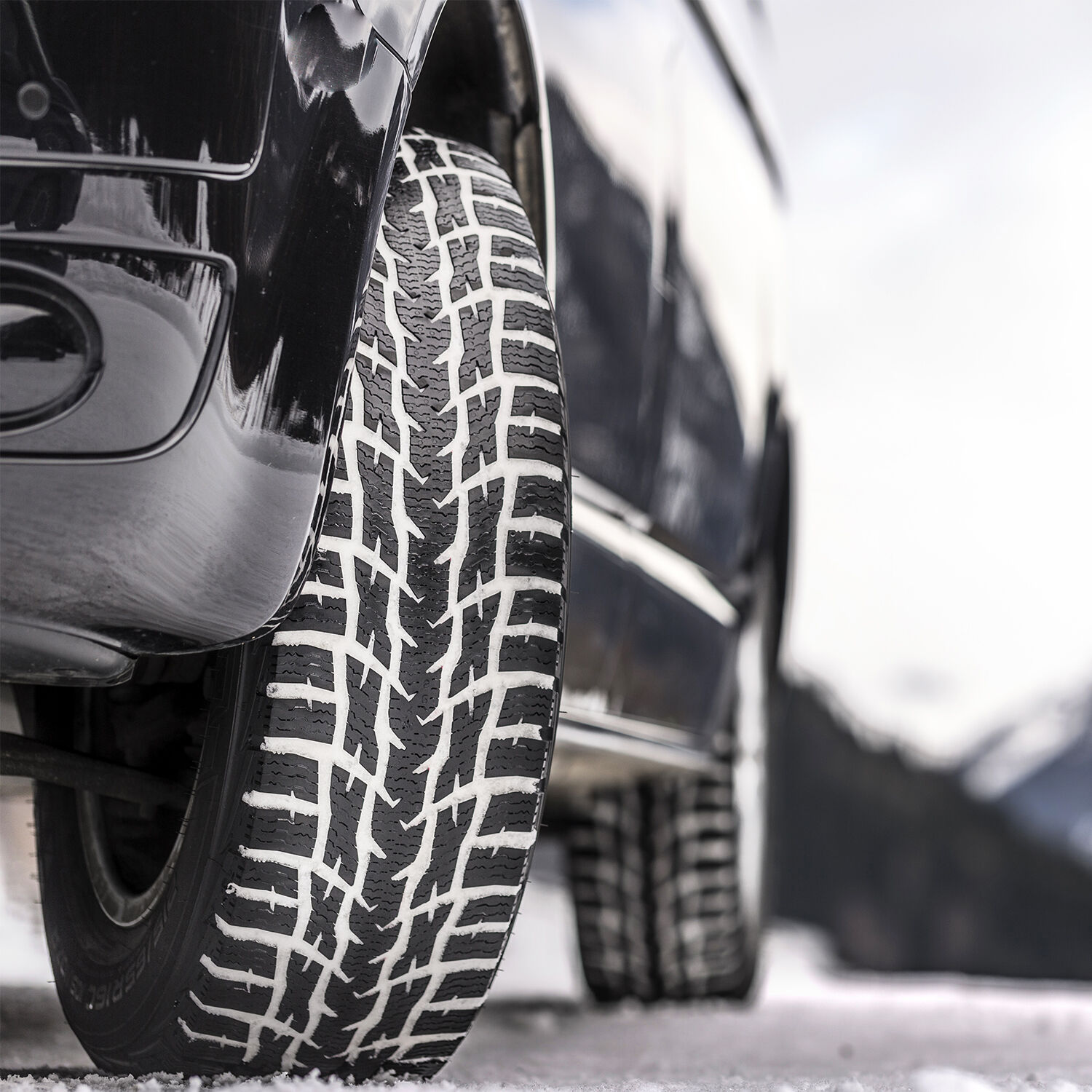 Nokian Tyres WR C3