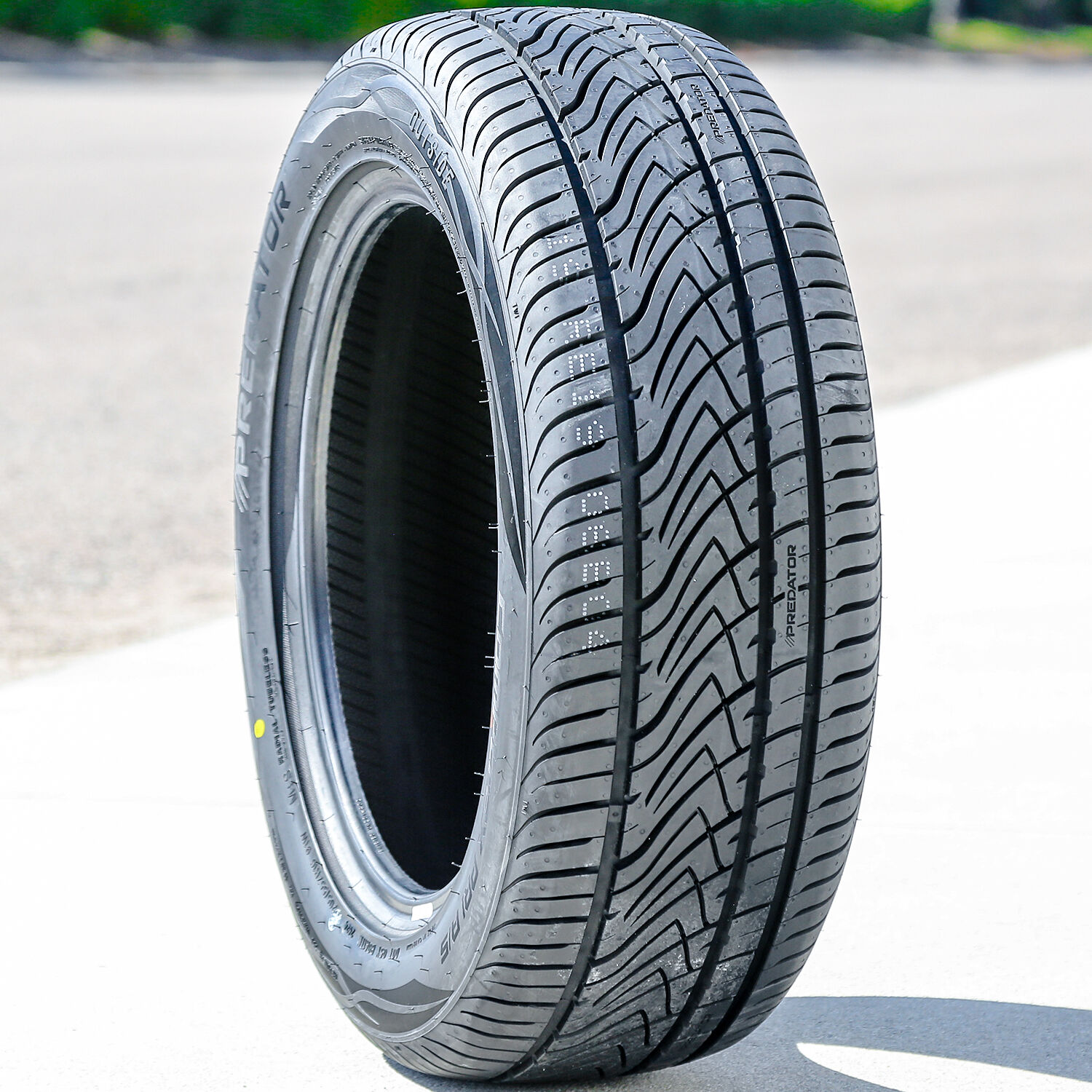 Predator Comptrax PR1 A/S 205/55R16 ZR 91W AS All Season Tire