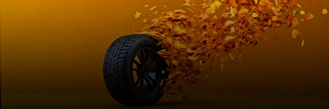 FALL26